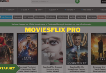MoviesFlix Pro